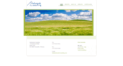 Desktop Screenshot of andromeda-consulting.com