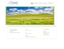 Tablet Screenshot of andromeda-consulting.com